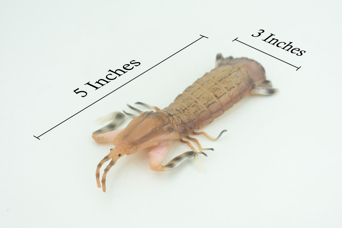 Mantis Shrimp, Marine Crustaceans, Museum Quality, Hand Painted, Rubber, Realistic Toy Figure, Diorama Model, Replica, Kids, Educational, Gift, 6 Inches. CH1051 BB221