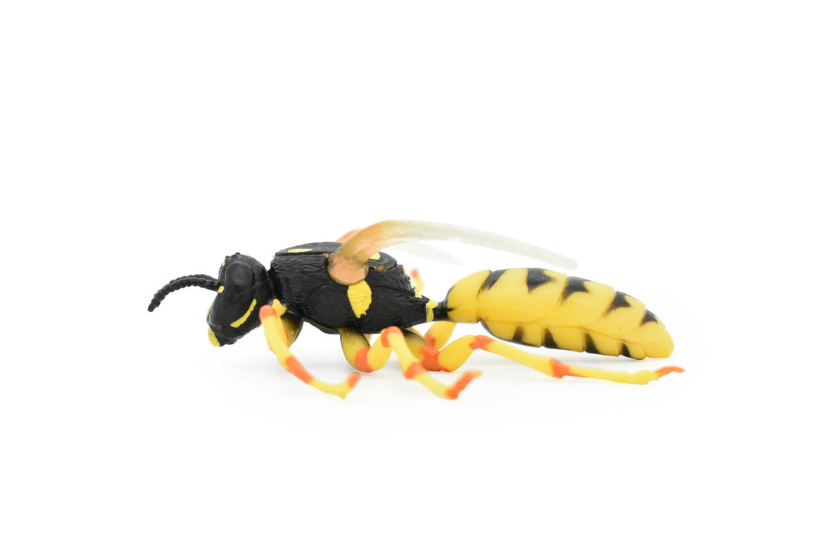 Hornet, Killer, Wasp, Insect, Museum Quality, Rubber Insect, Hand Painted, Realistic Toy Figure, Diorama Model, Kids, Educational, 3 1/2 Inches.