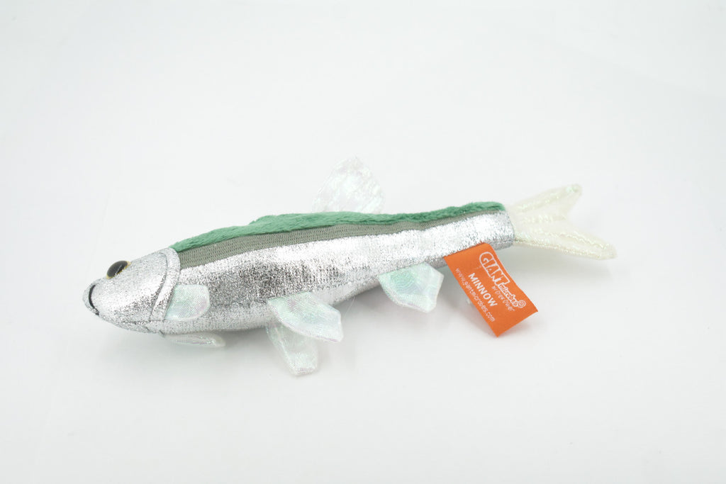 Fish, Minnow, Cyprinidae and Leuciscidae. Stuffed Fish, Educational, Realistic Hand Designed, Figure, Lifelike Figurine, Replica, Gift,       9"     F3414 B323
