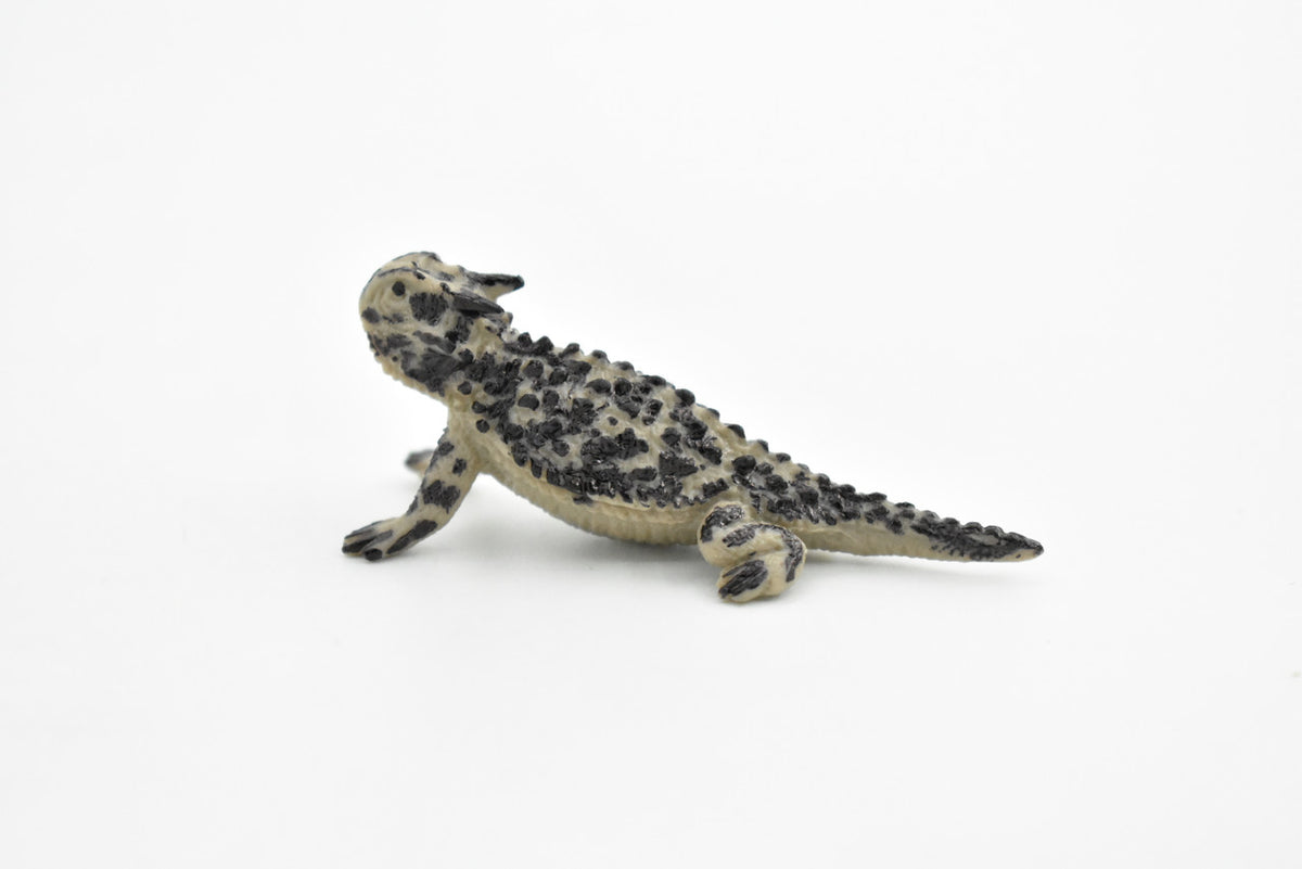 Horned Toad, Horny Toad Lizard, Rubber Reptile, Hand Painted, Educational, Realistic, Figure, Lifelike Model, Replica, Gift,    2 1/4 Inches     F1512 B103