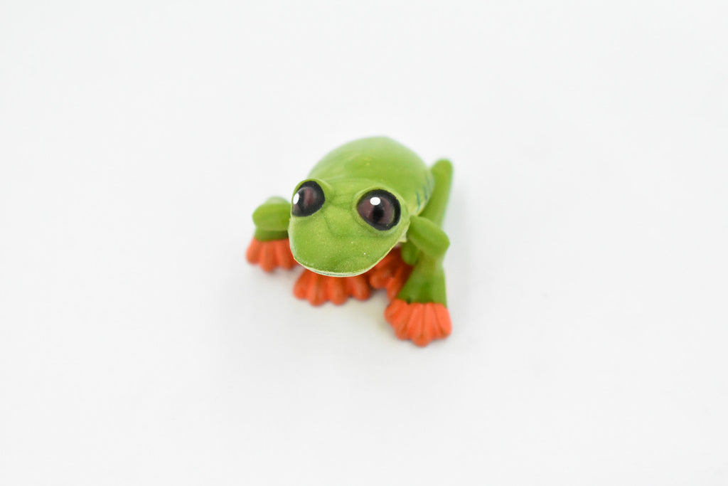 Orange Toed Frog  Adjustable Posable Plastic Toy Realistic Rainforest Figure Model Replica Kids Educational Gift  2" F058 B193