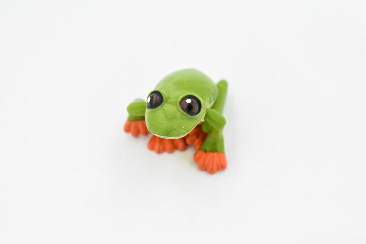 Orange Toed Frog  Adjustable Posable Plastic Toy Realistic Rainforest Figure Model Replica Kids Educational Gift  2" F058 B193