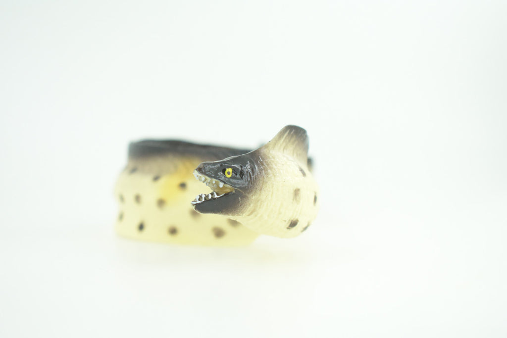Moray Eel, Hand Painted, Museum Quality, Educational, Rubber Fish, Saltwater Eel, Realistic, Diorama, Toy, Kids, Gift,   9 Inches.  CH791 BB186