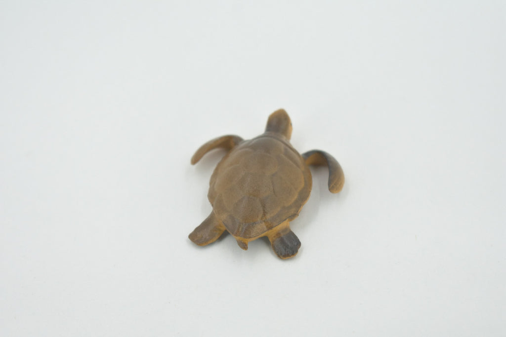 Turtle, Sea Turtle Baby, High Quality, Hand Painted, Rubber Reptile, Realistic Figure, Model, Replica, Toy, Kids, Educational, Gift,     2"    CH535 BB159