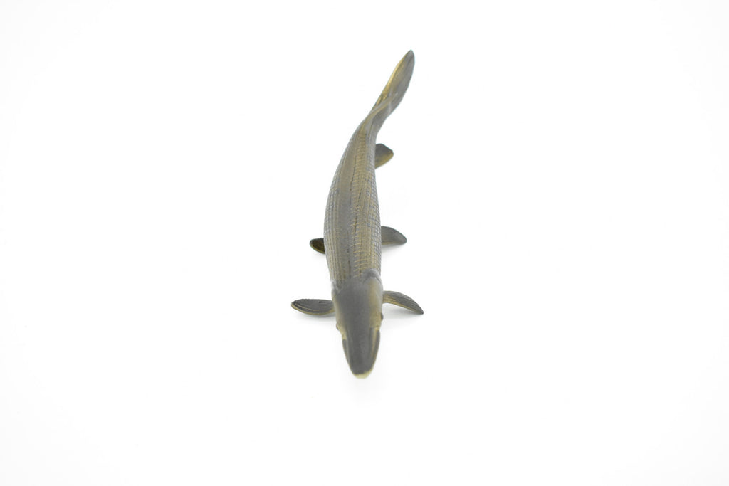 Alligator Gar, Fish, Atractosteus spatula, Toy, Very Realistic Rubber Figure, Model, Educational, Animal, Hand Painted Figurines,   6"   CH028 BB73