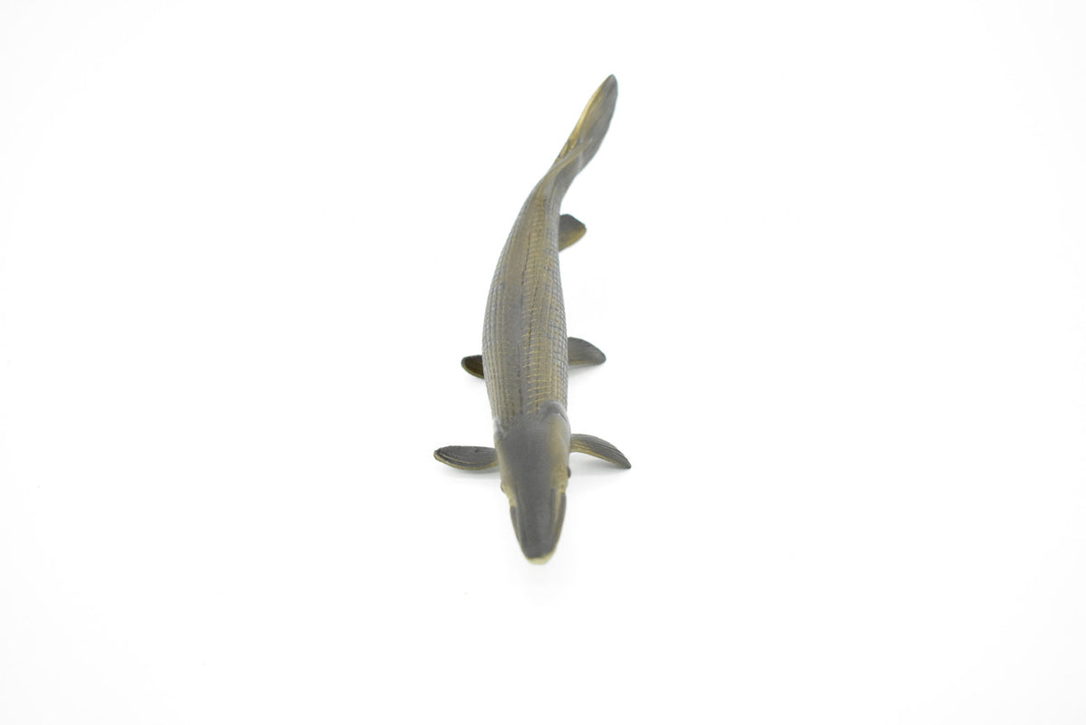 Alligator Gar, Fish, Atractosteus spatula, Toy, Very Realistic Rubber Figure, Model, Educational, Animal, Hand Painted Figurines,   6"   CH028 BB73