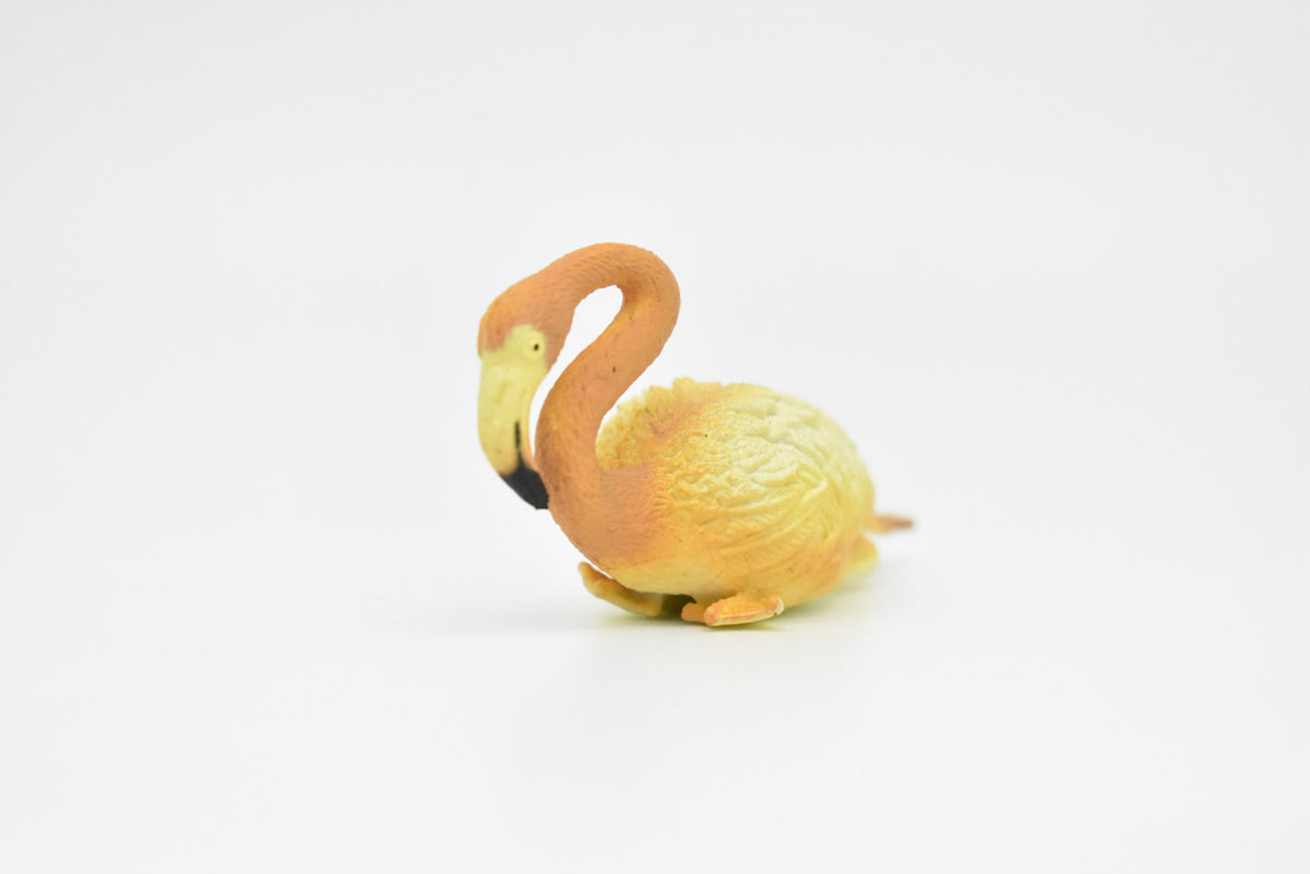 Flamingo, Greater Pink Flamigo, Hand Painted, Museum Quality, Realistic, Bird Design, Educational, Lifelike Figure, Diorama Model, Figurine, Replica, Toy, Gift,     3 Inches    CWG200 BB45