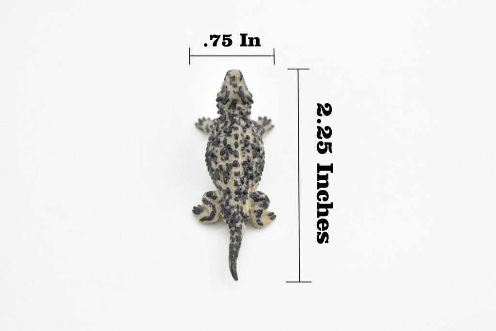 Horned Toad, Horny Toad Lizard, Rubber Reptile, Hand Painted, Educational, Realistic, Figure, Lifelike Model, Replica, Gift,    2 1/4 Inches 