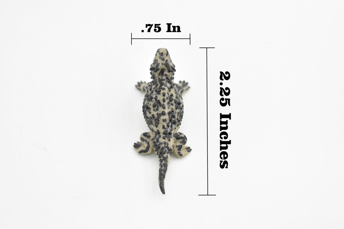 Horned Toad, Horny Toad Lizard, Rubber Reptile, Hand Painted, Educational, Realistic, Figure, Lifelike Model, Replica, Gift,    2 1/4 Inches 