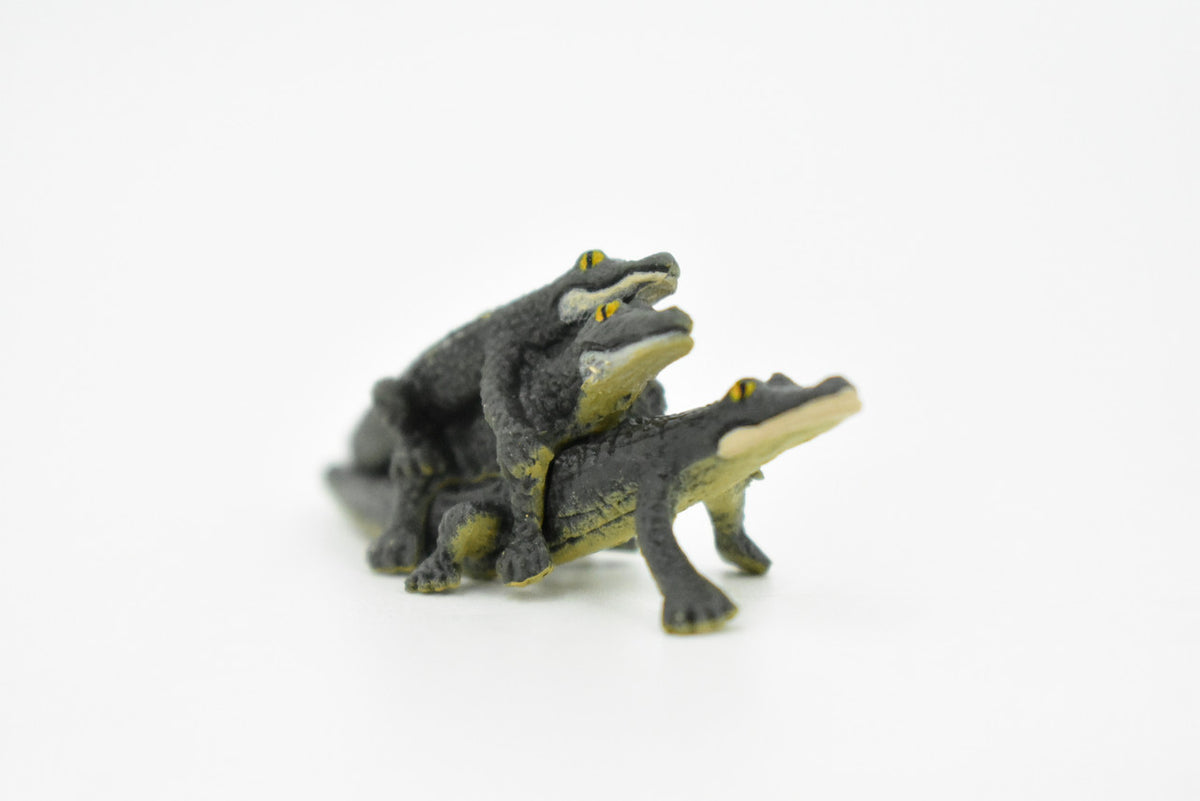 Alligator, 3 Juvenile Alligators, Rubber Toy Animal, Realistic Figure, Model, Replica, Kids Educational Gift,     2 1/2"    F1746 B77