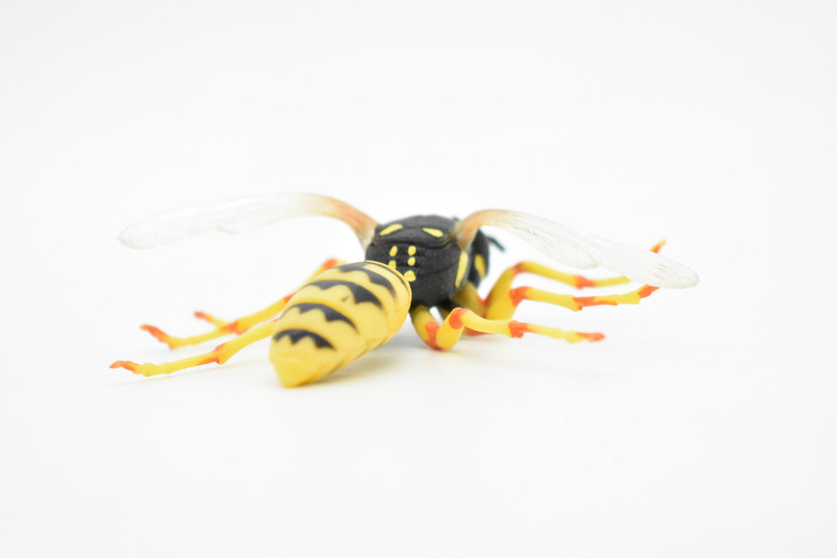 Hornet, Killer, Wasp, Insect, Museum Quality, Rubber Insect, Hand Painted, Realistic Toy Figure, Diorama Model, Kids, Educational, 3 1/2 Inches.