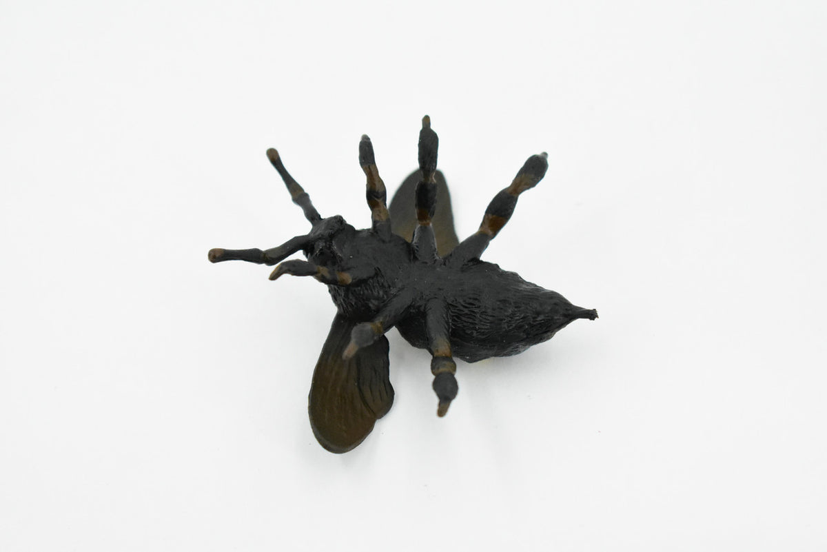 Bee, Bumblebee, Hornet, Yellowjacket, Museum Quality, Rubber Insect, Hand Painted, Realistic Toy Figure, Diorama Model, Kids, Educational, 2 1/2 Inches