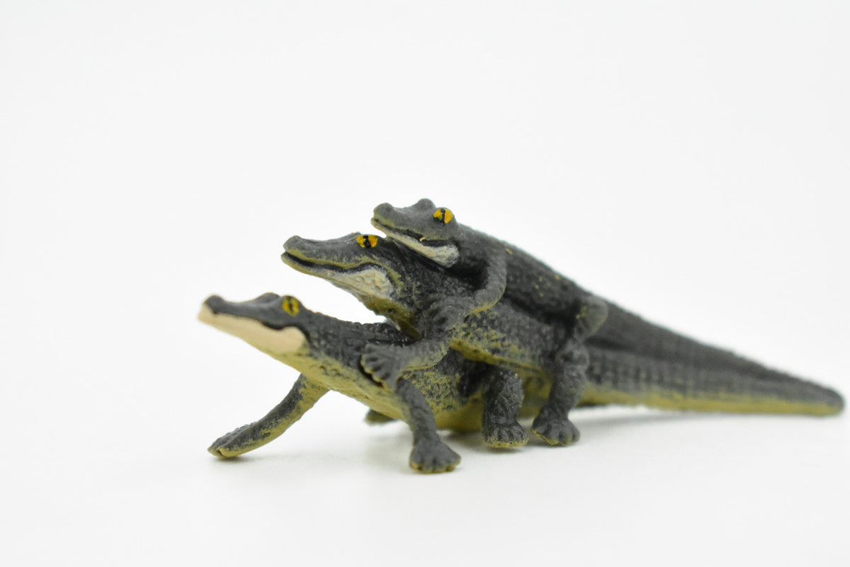 Alligator, 3 Juvenile Alligators, Rubber Toy Animal, Realistic Figure, Model, Replica, Kids Educational Gift,     2 1/2"    F1746 B77