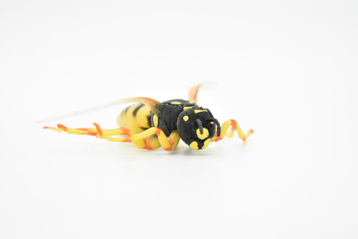 Hornet, Killer, Wasp, Insect, Museum Quality, Rubber Insect, Hand Painted, Realistic Toy Figure, Diorama Model, Kids, Educational, 3 1/2 Inches.
