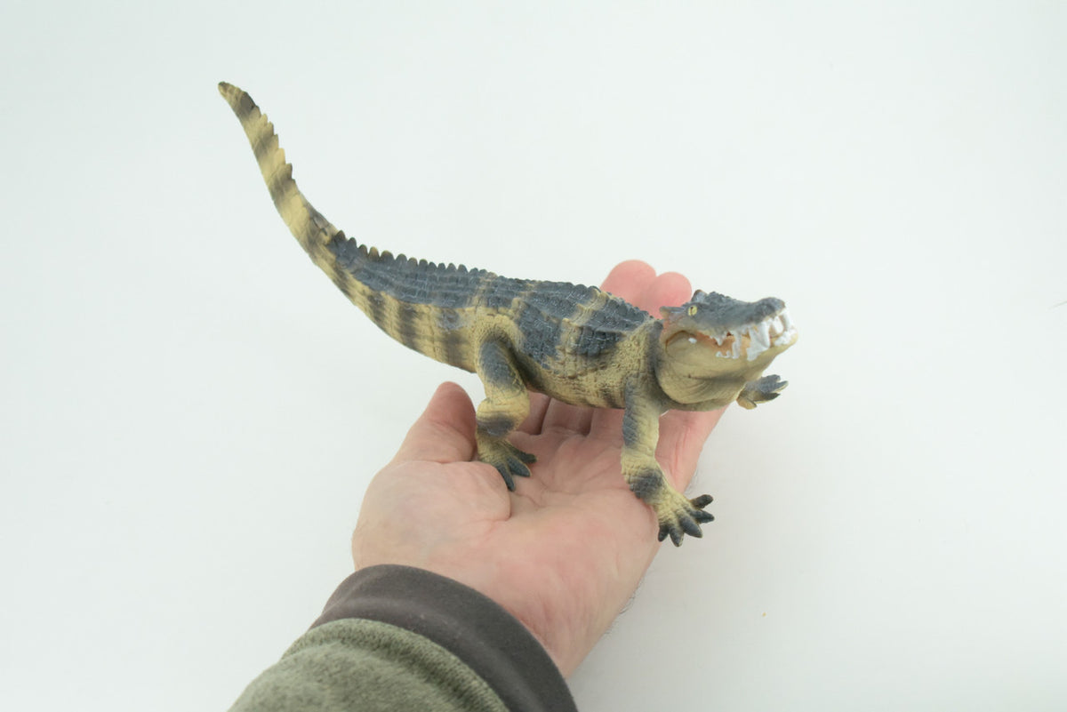 Saltwater Crocodile, Movable Jaws, Museum Quality, Educational, Hand Painted, Rubber Reptile, Realistic, Diorama, Toy, Kids, Gift, 10 Inches. CH776 BB193