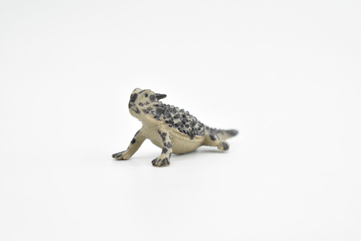 Horned Toad, Horny Toad Lizard, Rubber Reptile, Hand Painted, Educational, Realistic, Figure, Lifelike Model, Replica, Gift,    2 1/4 Inches     F1512 B103