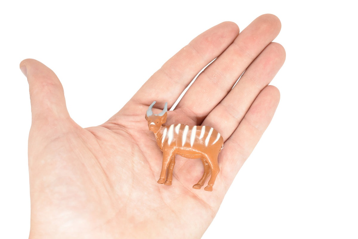 REAL SIZE IN THE HAND