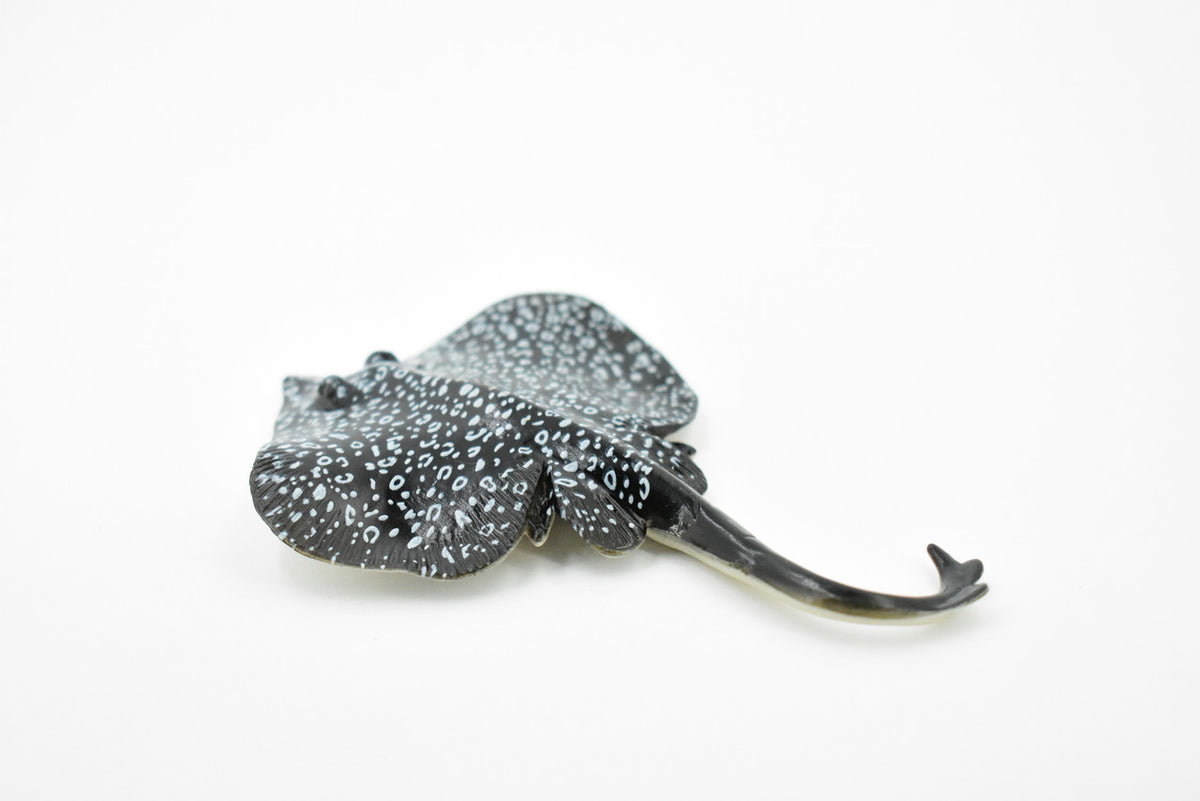 Eagle Ray, Spotted Eagle Ray, Museum Quality, Rubber Fish, Hand Painted, Realistic Toy Figure, Diorama Model, Replica, Kids, Educational, Gift,       4 1/2 Inches    CH454 BB114