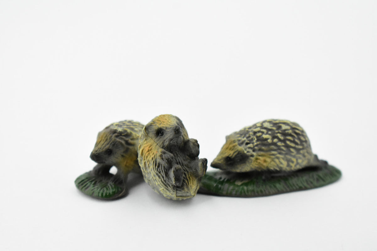 Hedgehog, Family of Three, Very Nice Rubber Animal, Hand Painted, Realistic Design, Educational, Diorama Model, Replica, Toy, Kids, Gift,        3 Inches       CH437 BB109