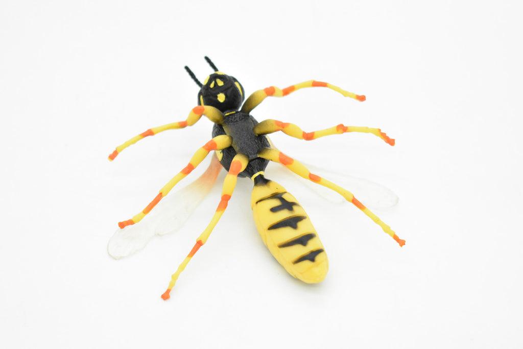 Hornet, Killer, Wasp, Insect, Museum Quality, Rubber Insect, Hand Painted, Realistic Toy Figure, Diorama Model, Kids, Educational, 3 1/2 Inches.