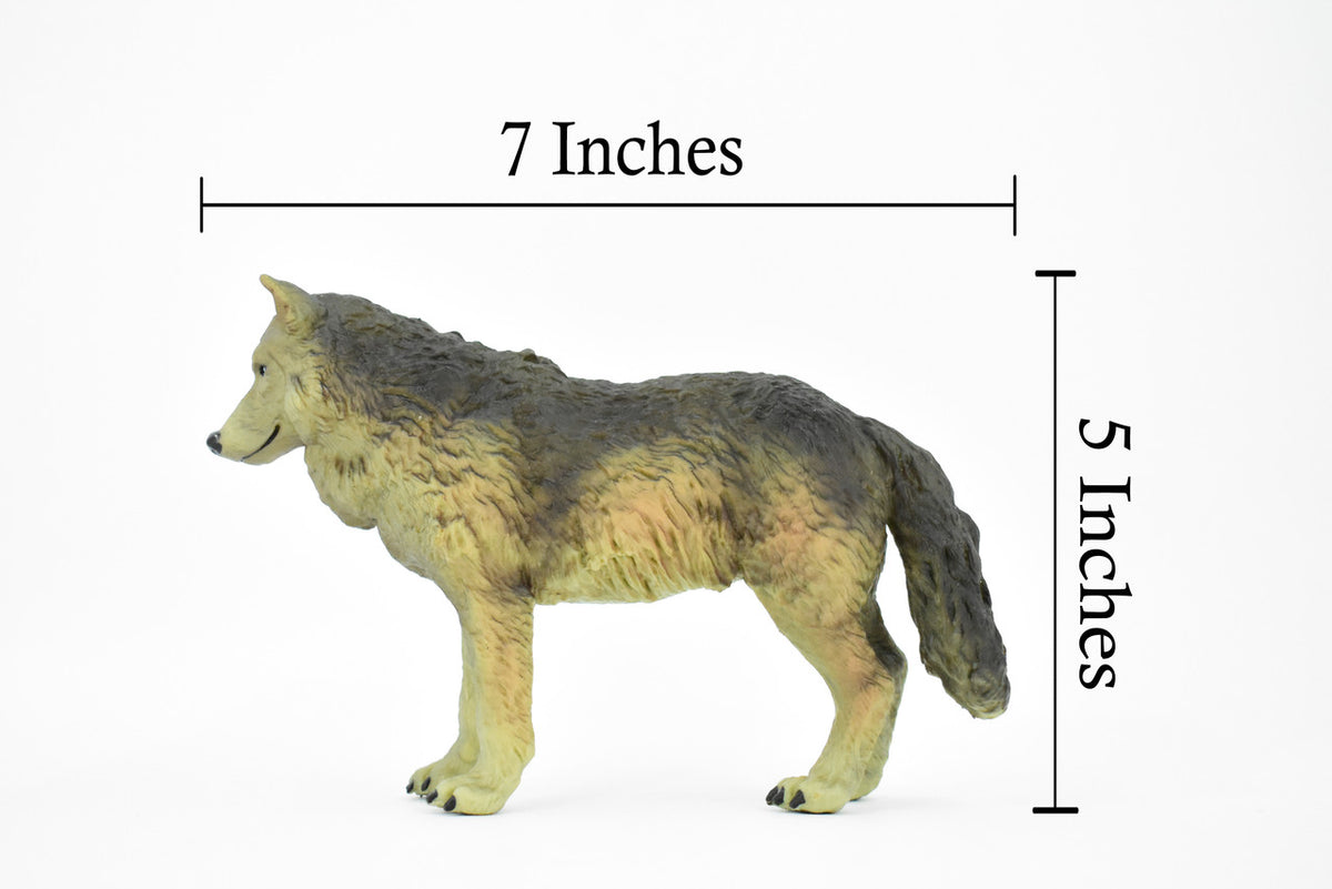 Wolf, Brown and Black, Timber Wolf, Museum Quality, Hand Painted, Rubber Animal, Educational, Realistic, Figure, Lifelike Figurine, Replica,  7 Inches.