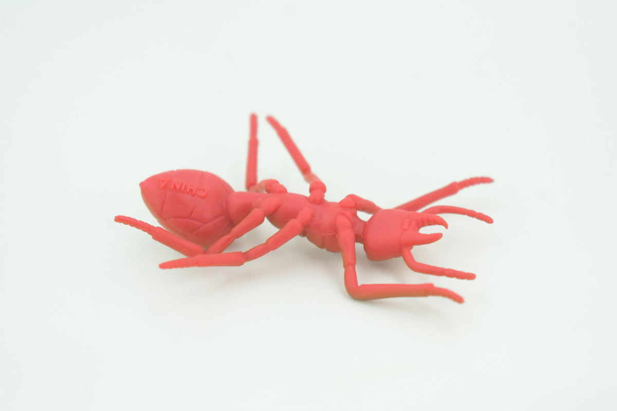 Red Ant, Very Nice Rubber Insect, Educational, Realistic Hand Painted, Figure, Lifelike Model, Figurine, Replica, Gift,     2"   US24 B44
