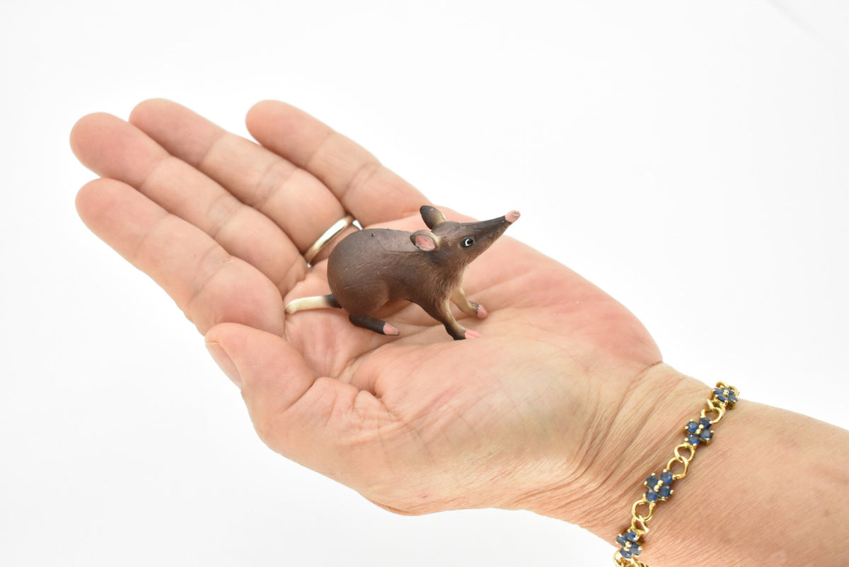 Long Nosed Mouse, Shrew, Bandicoot, Very Nice Design, Hand Painted, Educational, Rubber Animal, Realistic Toy Figure, Diorama Model, Kids, 2 1/2 Inches.
