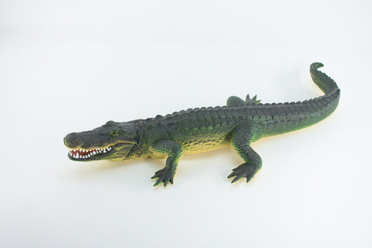 Alligator, Crocodile, High Quality, Hand Painted, Hard Rubber, Realistic Reptile, Toy Figure, Model, Replica, Kids, Educational, Gift,    16"    IM16 B654