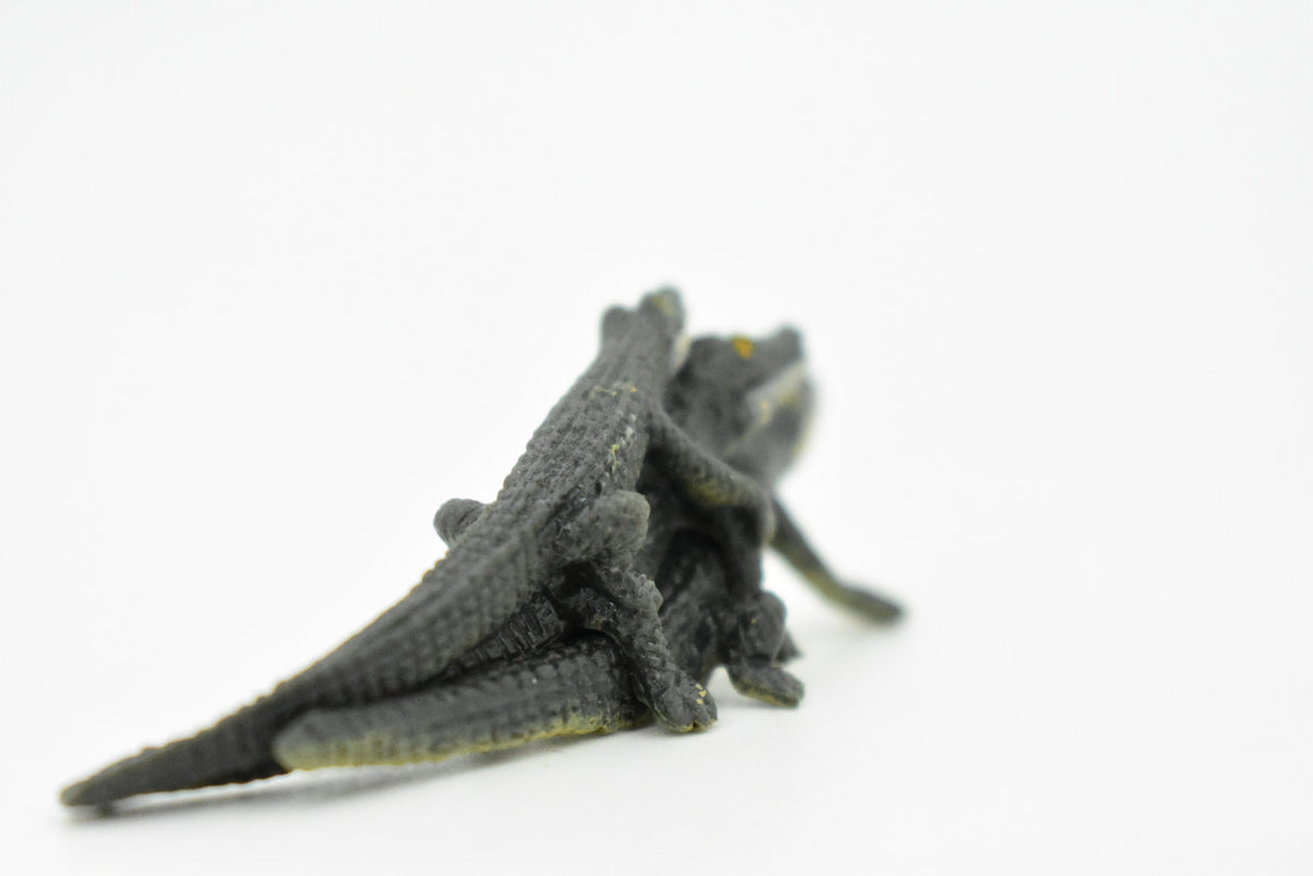 Alligator, 3 Juvenile Alligators, Rubber Toy Animal, Realistic Figure, Model, Replica, Kids Educational Gift,     2 1/2"    F1746 B77