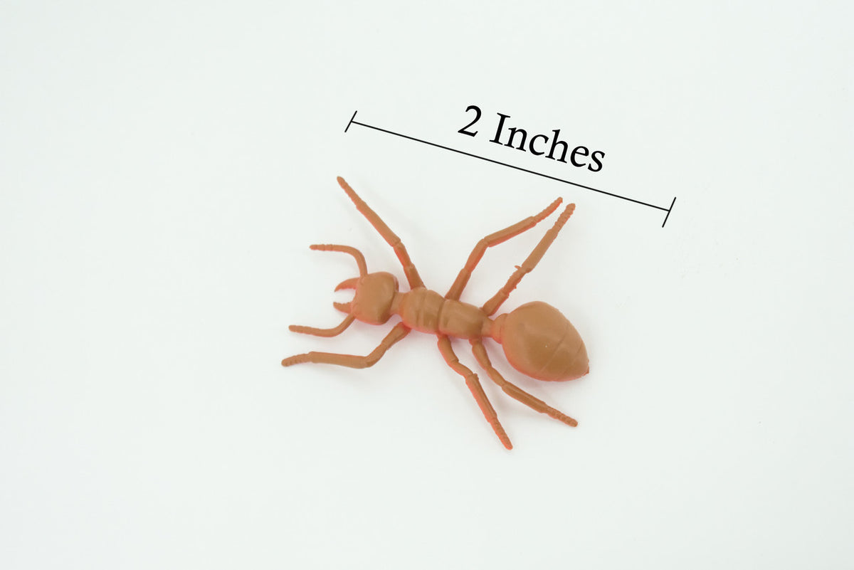 Red Ant, Very Nice Rubber Insect, Educational, Realistic Hand Painted, Figure, Lifelike Model, Figurine, Replica, Gift,     2"   US24 B44