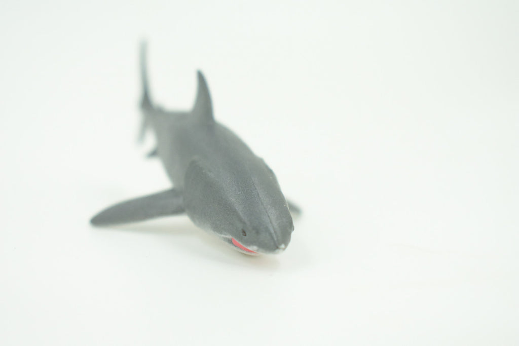 Bull Shark, River Shark, Very Nice Rubber Fish, Educational, Realistic Figure, Lifelike Model, Figurine, Replica, Gift,     3 1/2"  SF03 B51