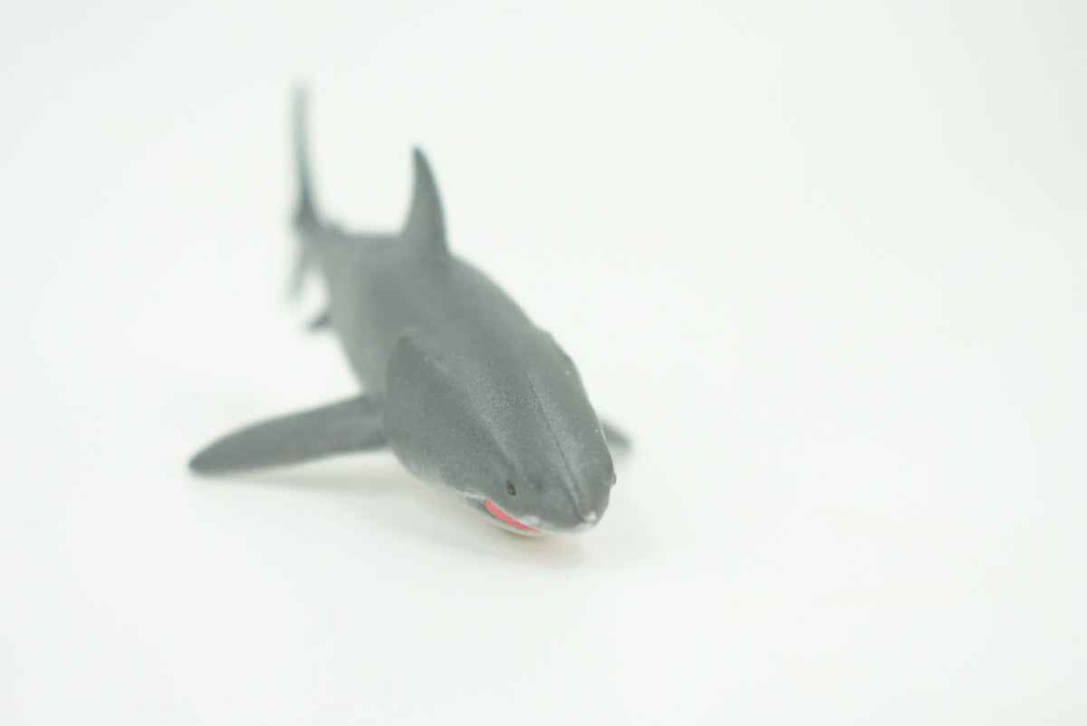 Bull Shark, River Shark, Very Nice Rubber Fish, Educational, Realistic Figure, Lifelike Model, Figurine, Replica, Gift,     3 1/2"  SF03 B51
