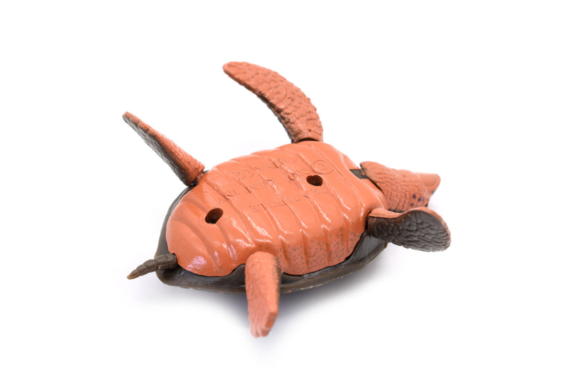 Sea Turtle, Hawksbill, Moveable Parts, Plastic Turtle, Design, Realistic Figure, Educational, Lifelike, Model, Figurine, Replica, Gift,     4 Inches      CWG58 B179
