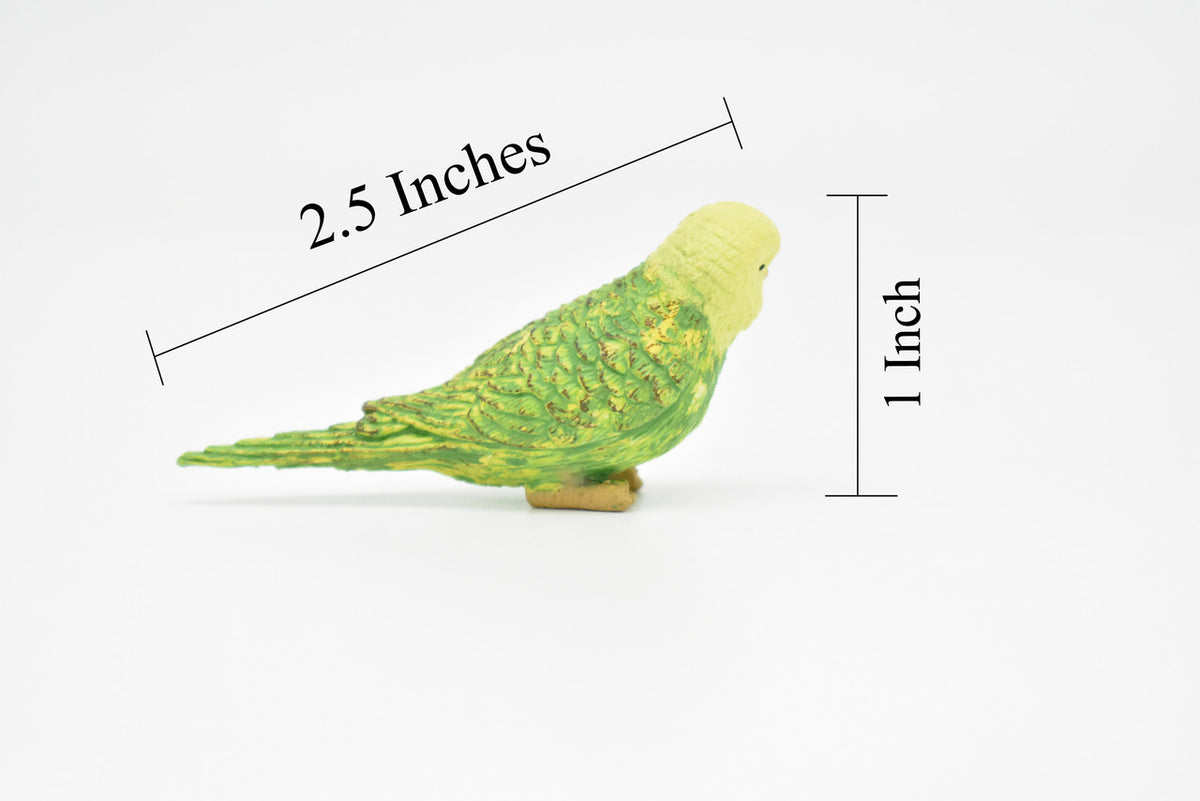 Parakeet, Green, Budgerigars, Budgies, Very Nice Rubber Bird, Educational, Realistic, Hand Painted, Figure, Lifelike Model, Gift,   2 1/2" 