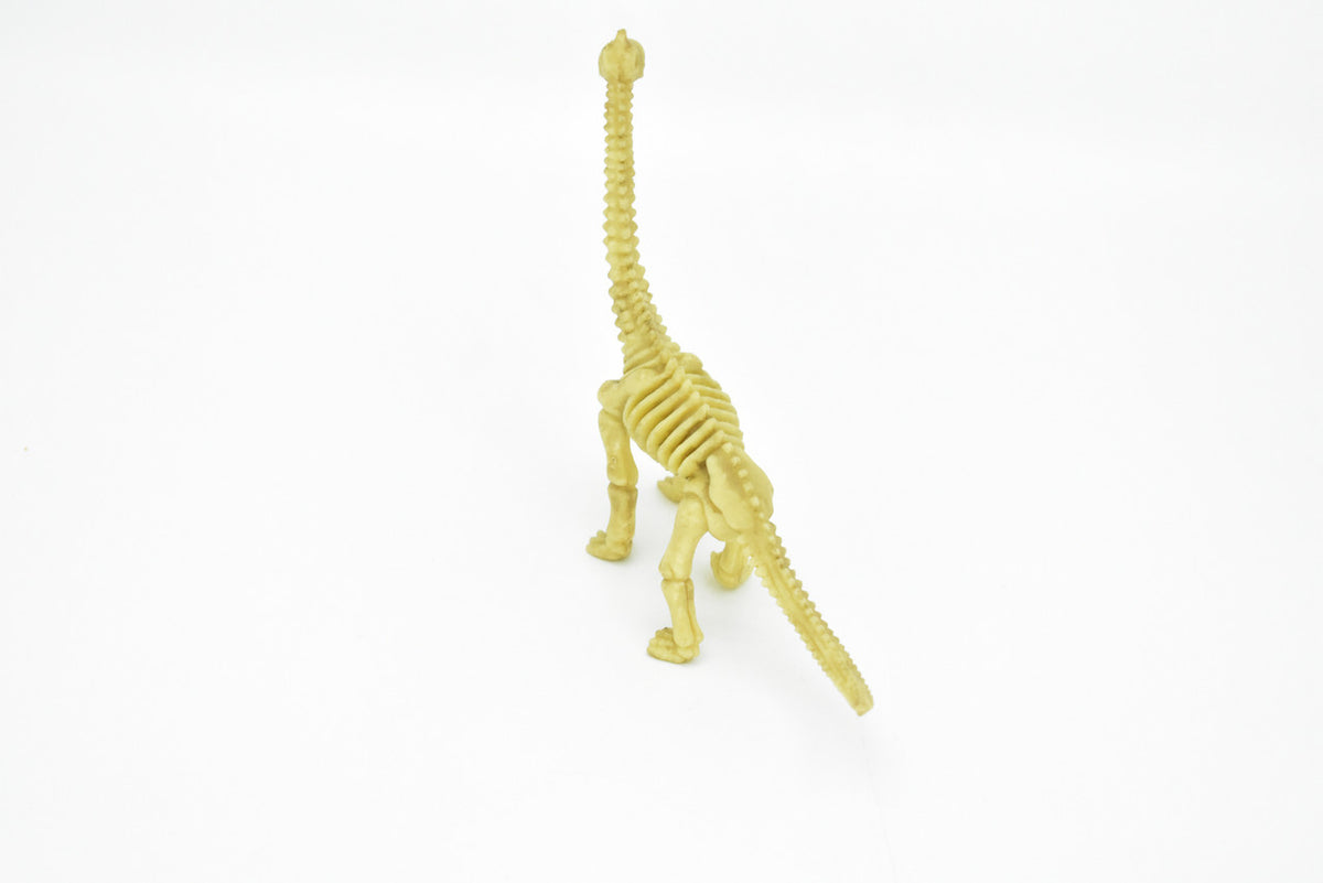 Brontosaurus Dinosaur, Skeleton, Very Nice Plastic Replica    6" -   F3286 B61