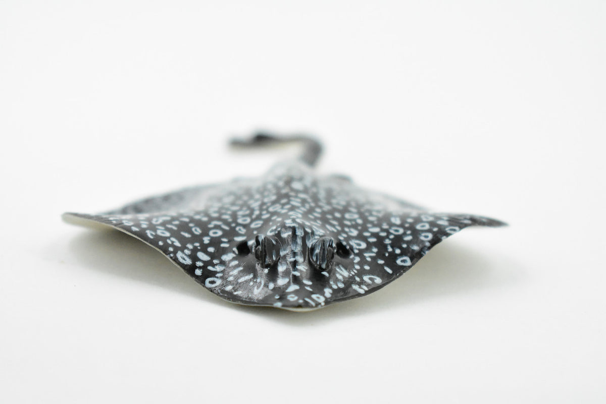 Eagle Ray, Spotted Eagle Ray, Museum Quality, Rubber Fish, Hand Painted, Realistic Toy Figure, Diorama Model, Replica, Kids, Educational, Gift,       4 1/2 Inches    CH454 BB114