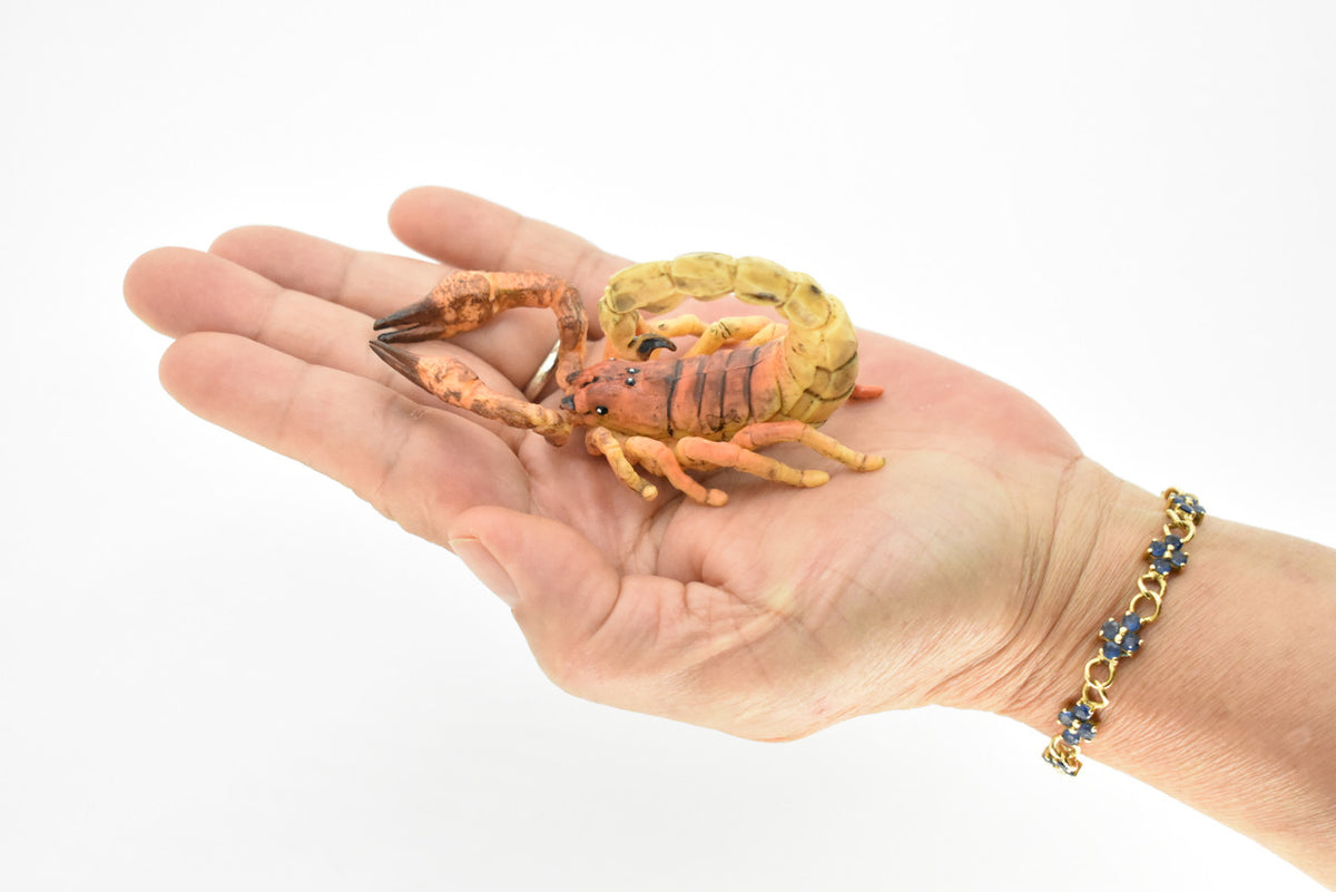 Scorpion, Brown, Arachnids, Scorpiones, Museum Quality, Educational, Hand Painted, Rubber Insect, Diorama Model, Realistic, Kids, Toys,  3 1/2 Inches.