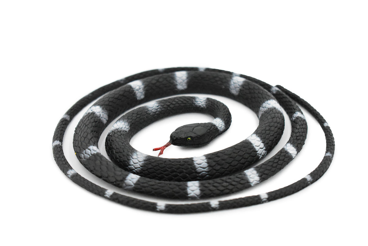 Snake, Black and White, Coiled, Rubber Reptile, Educational, Realistic Hand Painted, Figure, Lifelike Model, Figurine, Replica, Gift,     36"        F3583 B355