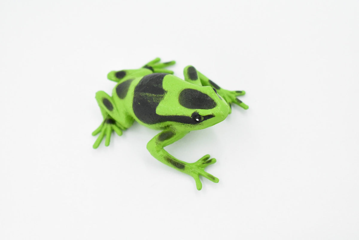 Poison Dart Frog, Green and Black, Hand Painted, Amphibian, Hard Rubber, Rainforest Frog, Model, Replica, Toy, Kids, Educational, Gift,      2"    F024 B37