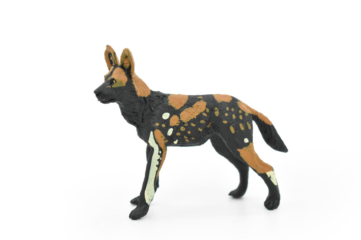 African Wild Dog, Painted Dog, Lycaon pictus, Museum Quality, Educational, Rubber Animal, Hand Painted, Realistic, Diorama Model, Toy, Kids,  4 Inches. 
