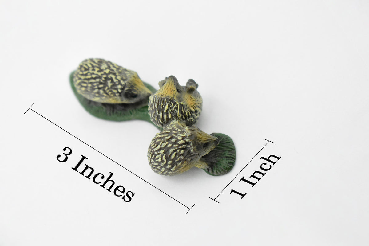Hedgehog, Family of Three, Very Nice Rubber Animal, Hand Painted, Realistic Design, Educational, Diorama Model,  3 Inches. 