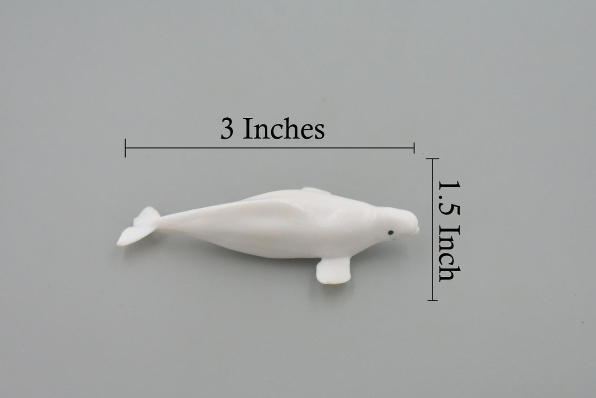 Whale, Beluga, White Whale, High Quality, Rubber, Hand Painted, Realistic, Toy Figure, Model, Replica, Kids, Educational, Gift,    3"      CH545 BB159