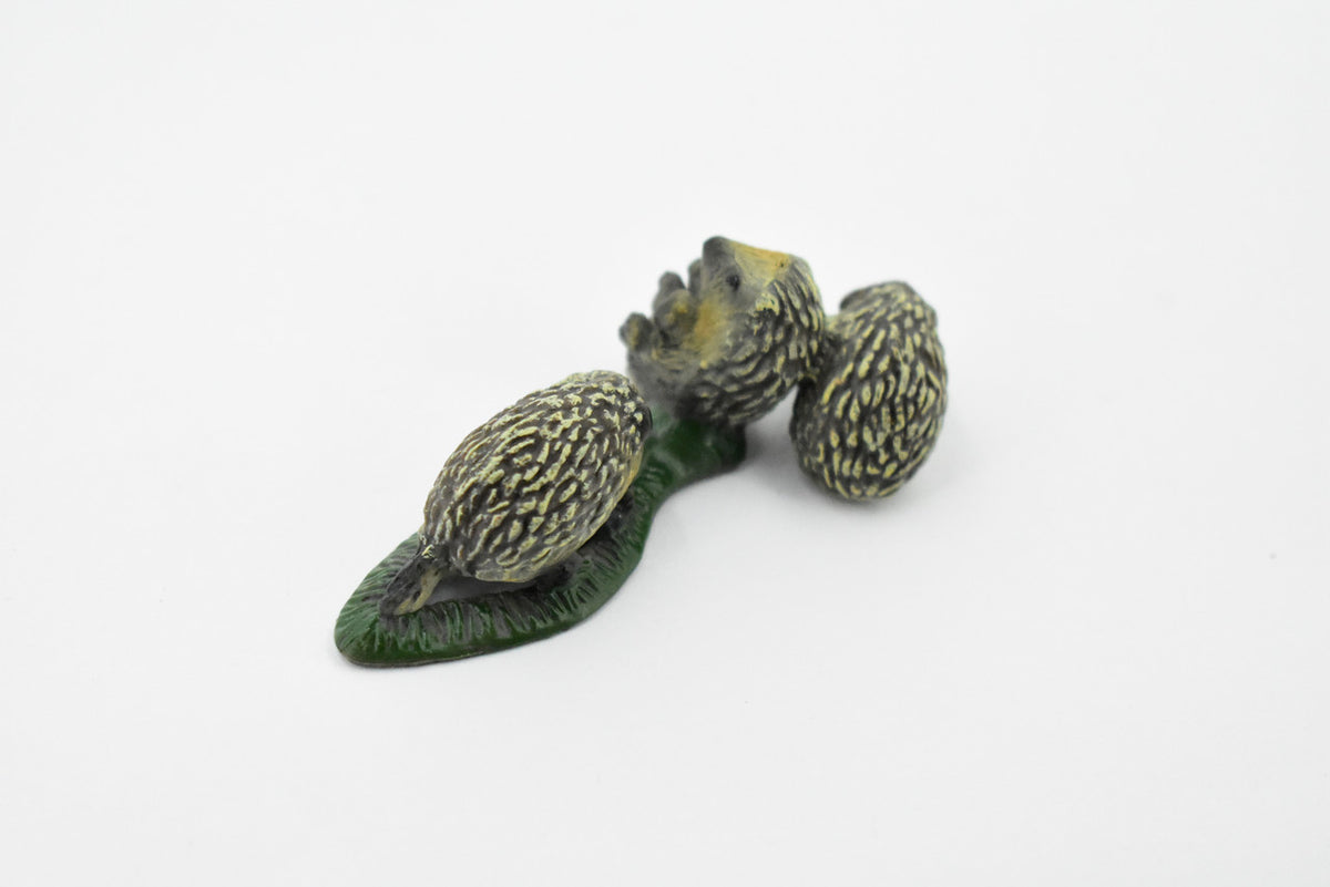 Hedgehog, Family of Three, Very Nice Rubber Animal, Hand Painted, Realistic Design, Educational, Diorama Model, Replica, Toy, Kids, Gift,        3 Inches       CH437 BB109