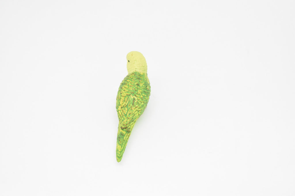 Parakeet, Green, Very Nice Rubber Bird, Educational, Realistic, Hand Painted, Figure, Lifelike Model, Gift,     2 1/2"    F1669 B63