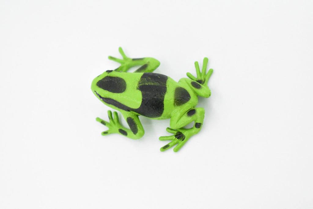 Poison Dart Frog, Green and Black, Hand Painted, Amphibian, Hard Rubber, Rainforest Frog, Model, Replica, Toy, Kids, Educational, Gift,      2"