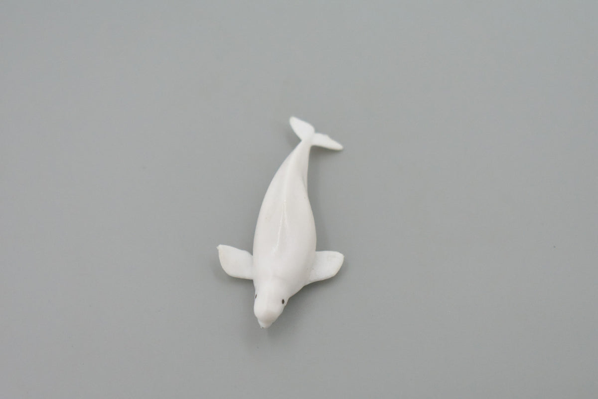 Whale, Beluga, White Whale, High Quality, Rubber, Hand Painted, Realistic, Toy Figure, Model, Replica, Kids, Educational, Gift,    3"      CH545 BB159
