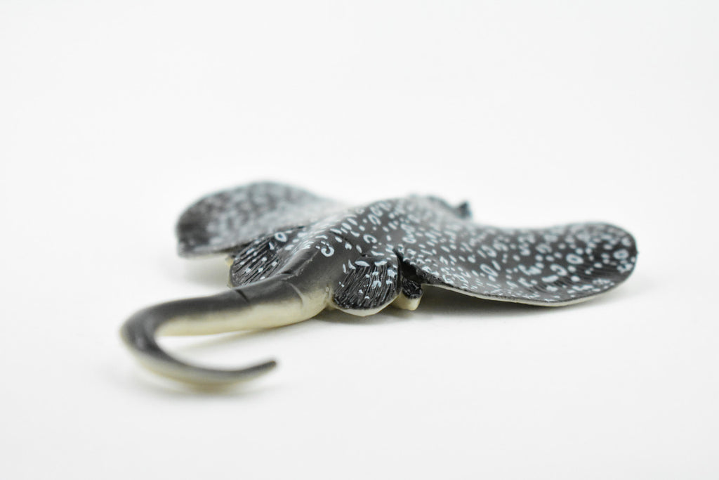 Eagle Ray, Spotted Eagle Ray, Museum Quality, Rubber Fish, Hand Painted, Realistic Toy Figure, Diorama Model, Replica, Kids, Educational, Gift,       4 1/2 Inches    CH454 BB114