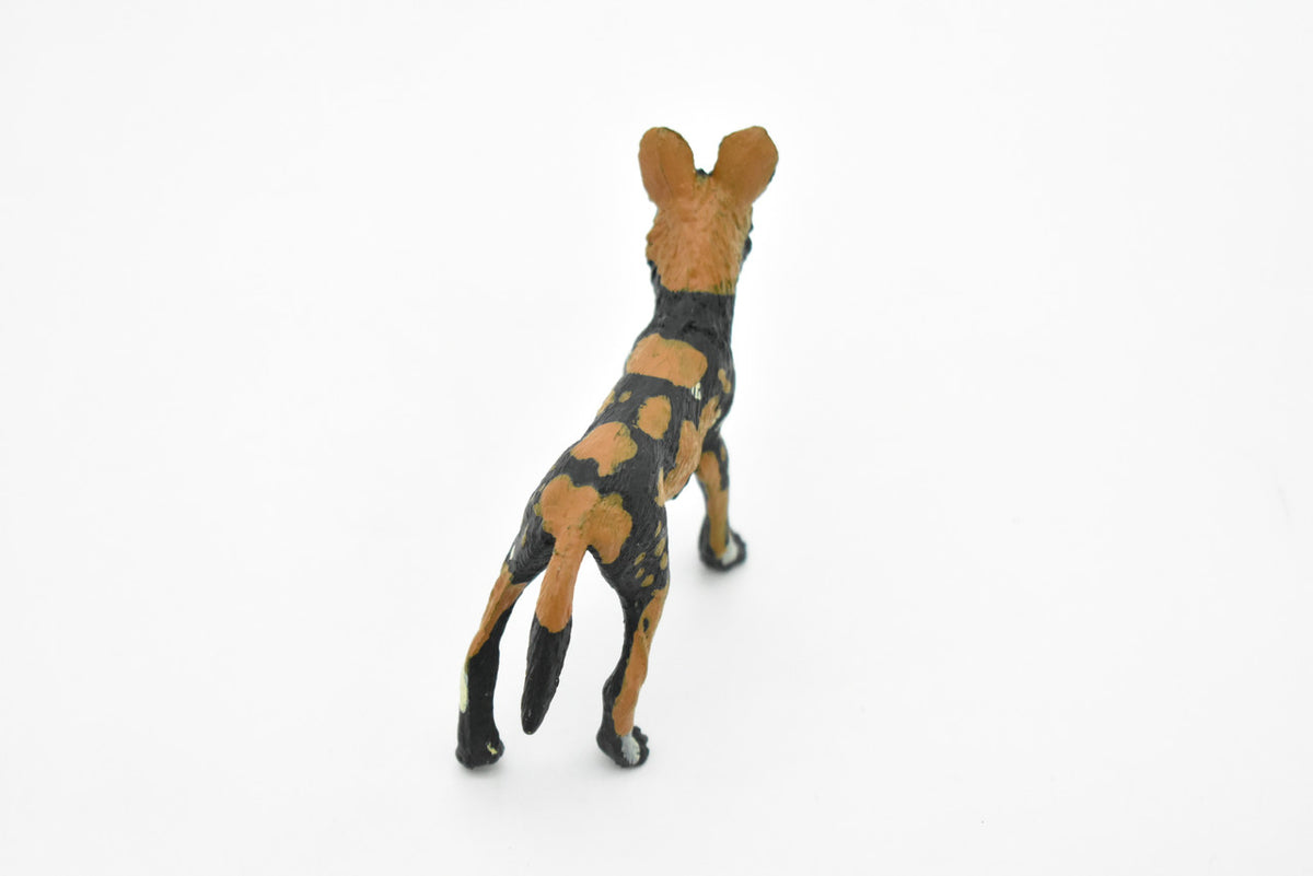 African Wild Dog, Painted Dog, Lycaon pictus, Museum Quality, Educational, Rubber Animal, Hand Painted, Realistic, Diorama Model, Toy, Kids, Gift,   4 Inches.    CH072 BB80