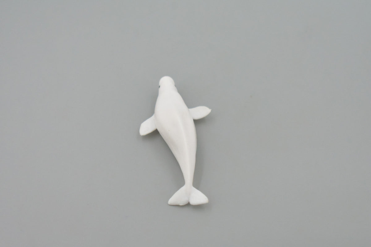 Whale, Beluga, White Whale, High Quality, Rubber, Hand Painted, Realistic, Toy Figure, Model, Replica, Kids, Educational, Gift,    3"      CH545 BB159