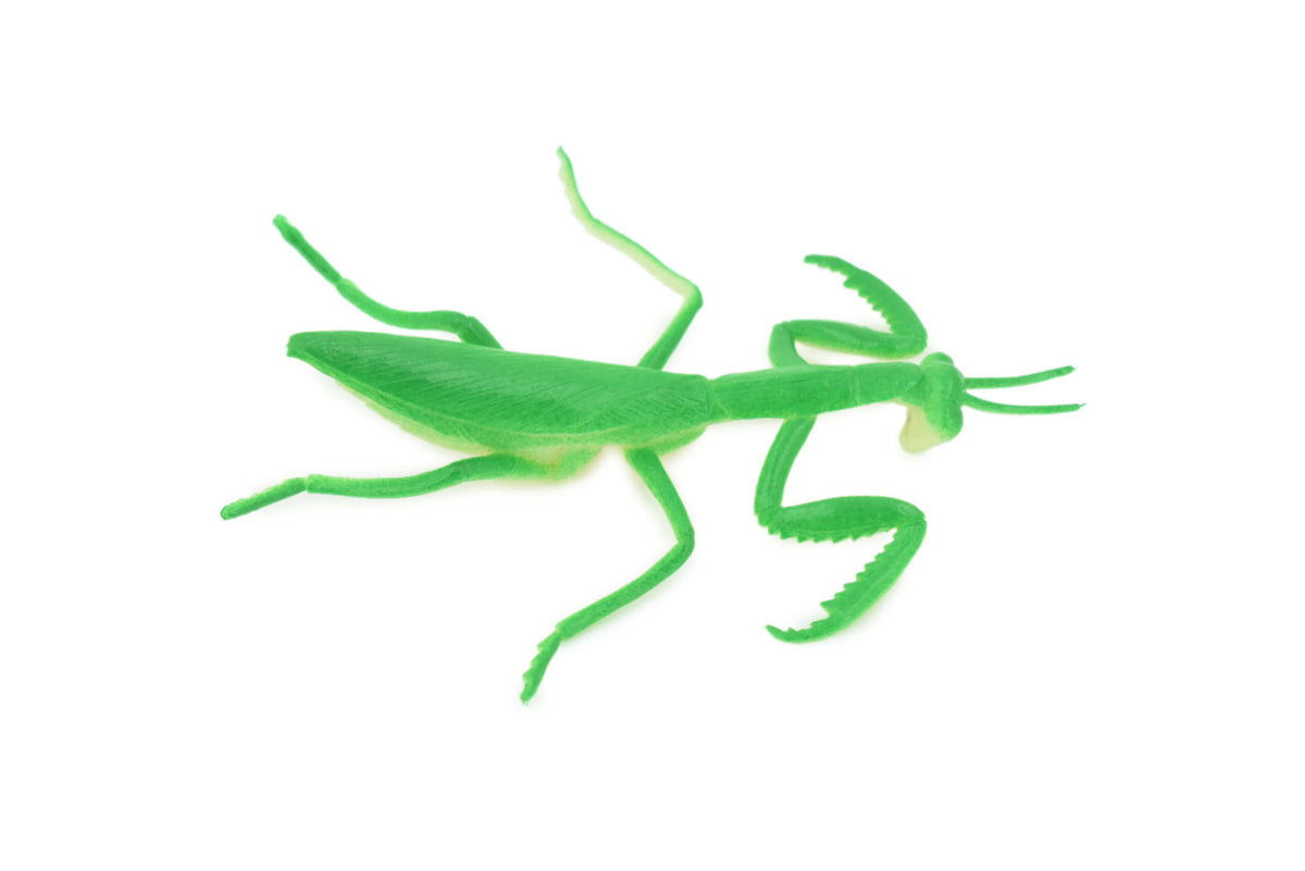 Praying Mantis, Very Nice Rubber Insect, Educational, Realistic Hand Painted, Figure, Lifelike Model, Figurine, Replica, Gift, 3" US21 B44